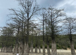 В День Радоницы в Анапе, возможно, выглянет солнце