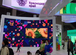 Анапчане могут поддержать родную Кубань на форуме «Россия» через интернет-голосование