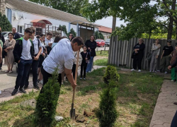 В честь памяти Анастаса Шембелиди в Витязево прошла высадка деревьев