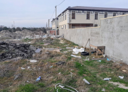 ЖКХ: несанкционированная свалка возле «Ореховой рощи» будет ликвидирована 