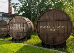 На фоне «национализации» ГК «Ариант» анапская винодельня «Кубань-Вино» сократила выручку в 72 раза