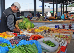 «Привоз» выгоднее «Магнита» на 10-15 %