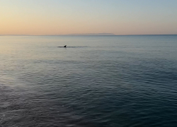 Гороскоп для анапчан с 11 по 17 сентября: Овнам будет сопутствовать удача во всех начинаниях