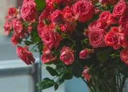 «Люди украсят вами свой праздник»: мэрия Анапы закупает цветы на четверть миллиона рублей