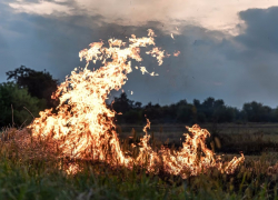 В Анапе запретили разводить костры в лесах и парках