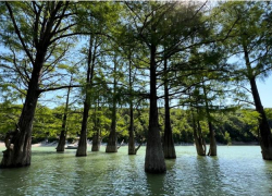 Кипарисовое озеро в Сукко под Анапой стало высыхать