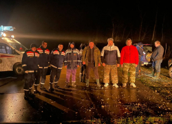 Вместо «Ау» - 112: в лесу под Анапой нашли заблудившихся грибников