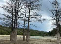 В Международный день Матери-земли в Анапе дождливо и пасмурно