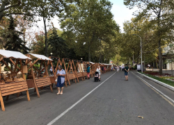 Во Всемирный день кокоса в Анапе снова ясно