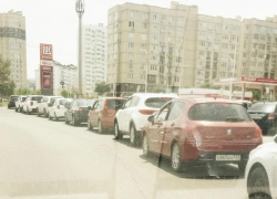Бензиновый ажиотаж в Анапе не утихает: водителей просят не создавать дефицит своими руками