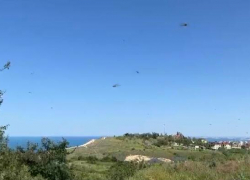  Некоторые районы Анапы атаковали полчища стрекоз