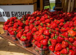 Анапа находится в регионе с идеальным климатом