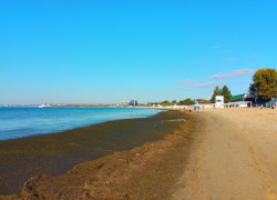 «Анапа качает только бабки по карманам»: горожане возмущены «лицом» курорта