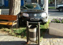 Фотофакт: анапский «мастер парковки» застрял между деревом и светофором