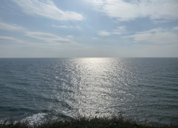  Гороскоп для анапчан с 6 по 12 ноября: Скорпионам лучше не уходить в заботы с головой