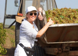 К анапским магазинам по продаже вина Анжелики Варум добавились точки в семи регионах РФ