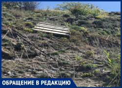 «Над головой висят железки и доски с гвоздями», - Ольга Скворцова о спуске к морю в Анапе