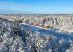 Сказка быстро закончилась: жители Краснодарского края не попадут в гости к Деду Морозу