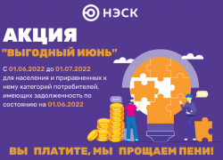 АО «НЭСК» прощает пени
