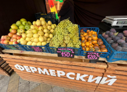 Стали известны адреса и дни работы продуктовых ярмарок в Анапе