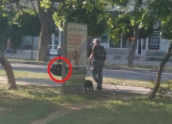 В центре Анапы кинологи "обезвредили" подозрительную сумку