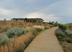 Анапа вошла в топ самых посещаемых виноделен Краснодарского края