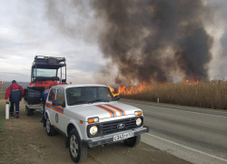 Пожар в Анапских плавнях: официальная информация