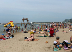 «Пляжи - лицо нашего курорта»: борьба с незаконной торговлей и живодерами на особом контроле