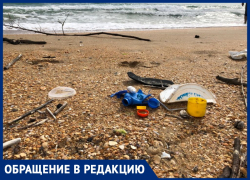 Андрей Берг предложил, как можно очистить пляжи Анапы от мусора