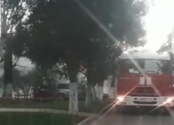 Анапчане сняли видео, как в Анапе на ул. Чехова подожгли сухое дерево