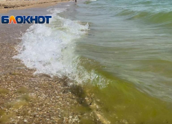 Неприятный морской сюрприз: на пляже Анапы позеленела вода