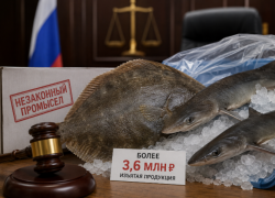 В Анапе мужчина пойдёт под суд за незаконную продажу рыбы на 3,6 млн рублей