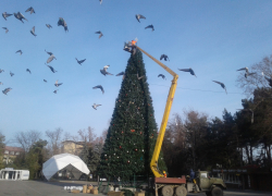 На Театральной площади Анапы разбирают главную городскую ёлку