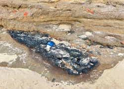 Волонтеры бьют тревогу: обнаружен апокалипсис у озера Солёное в Краснодарском крае