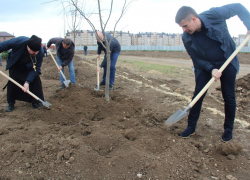 В Анапе прошла акция по высадке «семейных» деревьев
