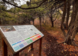 В Анапе появился новый эко-маршрут