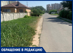 Айрат Сафин просит проложить тротуар на ул. Рождественской в Анапе