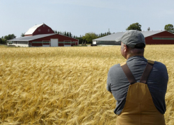 Кто из анапчан может получить 3 миллиона рублей на развитие бизнеса?