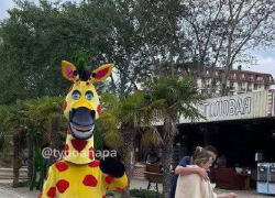 Полиция Анапы проверит сообщение о вымогательстве денег с туристов 