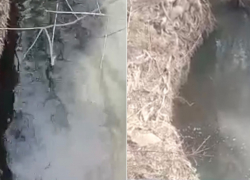 Активисты партии «Единая Россия» решили ситуацию с загрязнением реки Сукко