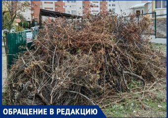 «360 собственников выбрали другое правление»: анапчанин недоволен работой действующего ТСЖ