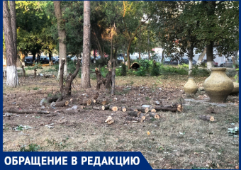 «Одни пеньки торчат»: анапчанка рассказала о срубленных деревьях на территории санатория