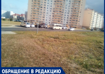 «Остановку устроили прямо на парковке» – жители ЖК «Горгиппия» просят навести порядок