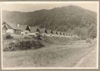 История Анапы: нынешнее село Джигинка основали немцы и назвали Михаэльсфельд 