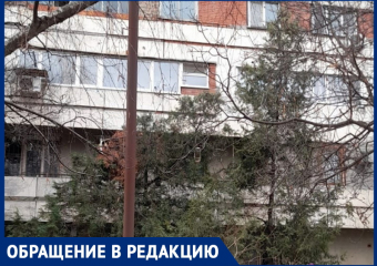Анапчанка жалуется, что дом на улице Ленина, 134 стал притоном бомжей и наркоманов
