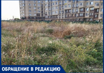 «Трава с человеческий рост и огромное количество мусора»: заброшенный пустырь на месте Императорского парка