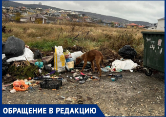«Обещать - не значит сделать»: о проблемах с уборкой в селе Супсех и неисполненных обещаний местной администрации