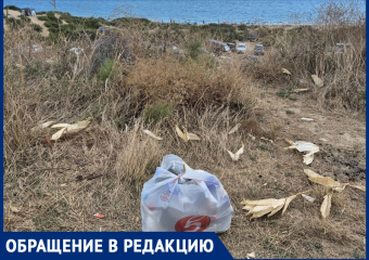 Пляж Благовещенской в мусорном плену: туристы бьют тревогу