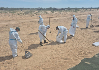 Стали известны результаты мониторинга пляжей 7 мая 