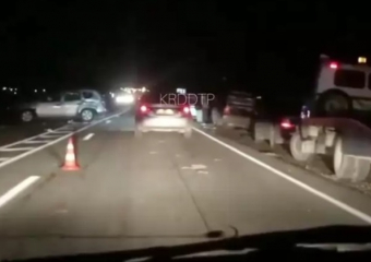 В массовом ДТП под Анапой пострадали три автомобиля и корова: животное погибло